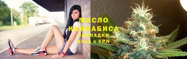тгк Ельня