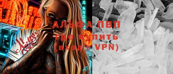ПСИЛОЦИБИНОВЫЕ ГРИБЫ Елабуга