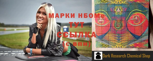 тгк Ельня