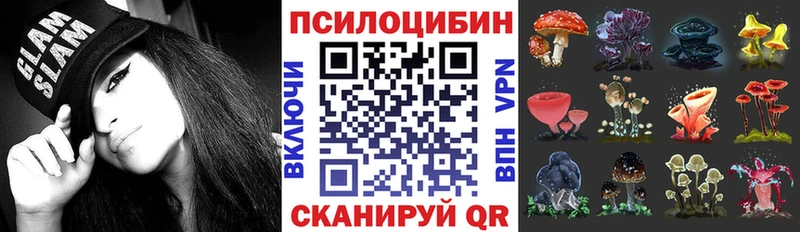Купить закладки  Талица  Галлюциногенные грибы MAGIC MUSHROOMS 